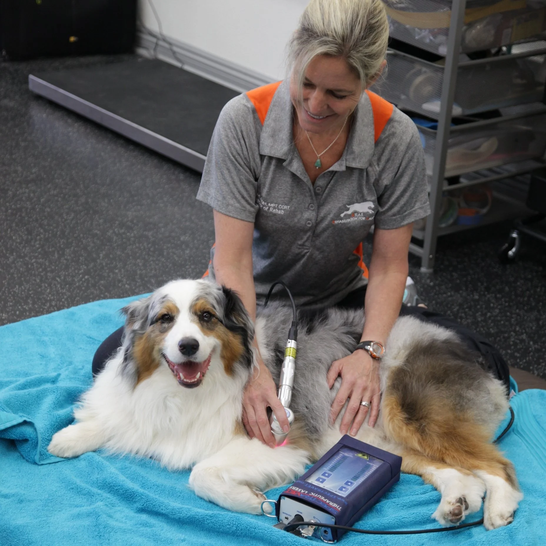健康・医学 Canine rehabilitation and physical thera Handbook of Canine Exercise Therapy: 9781394171972: Medicine